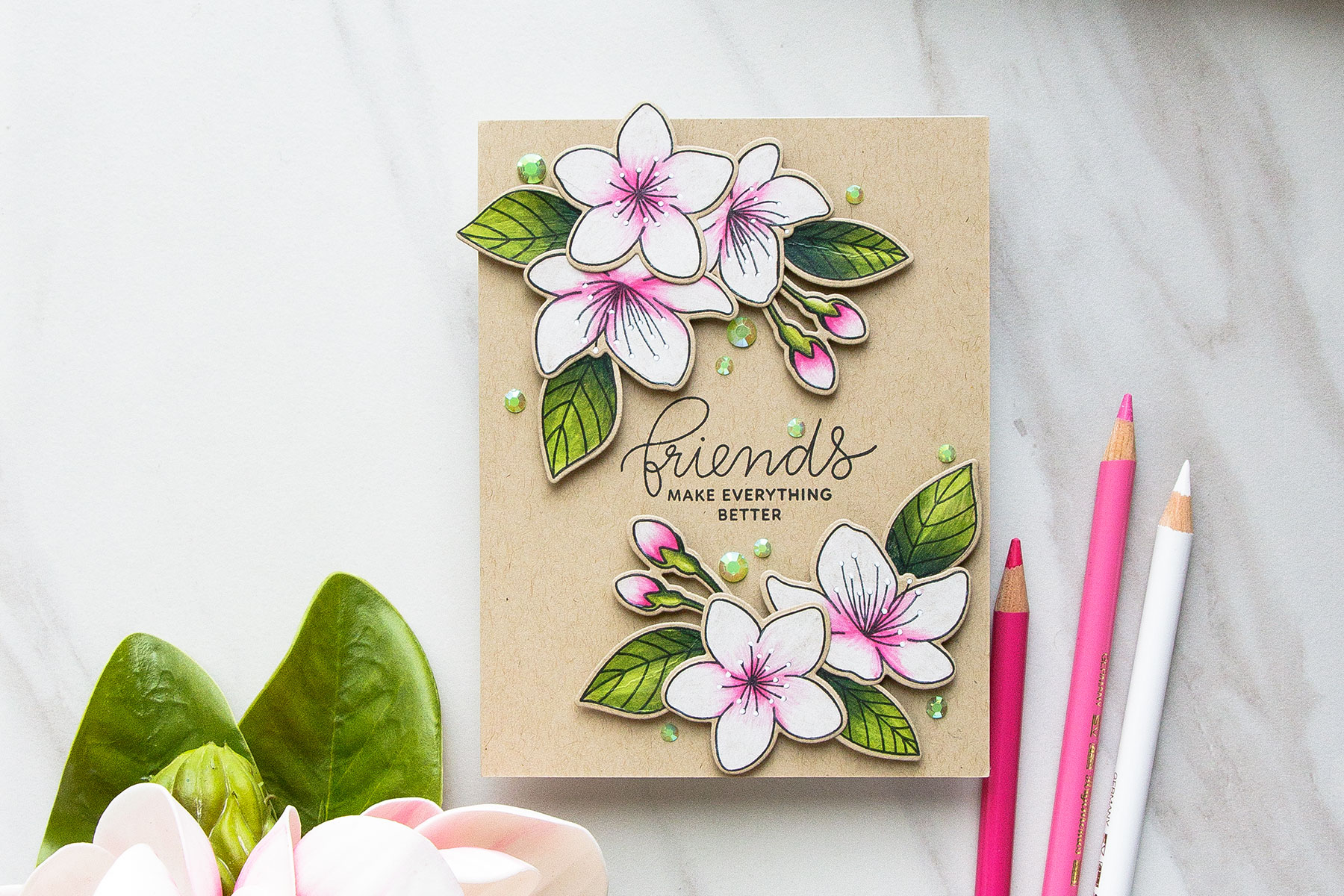 Pretty Pink Posh | Cherry Blossoms Friendship Card. Photo Tutorial by Yana Smakula #prettypinkpost #stamping #polychromos #coloring #adultcoloring #friendshipcard