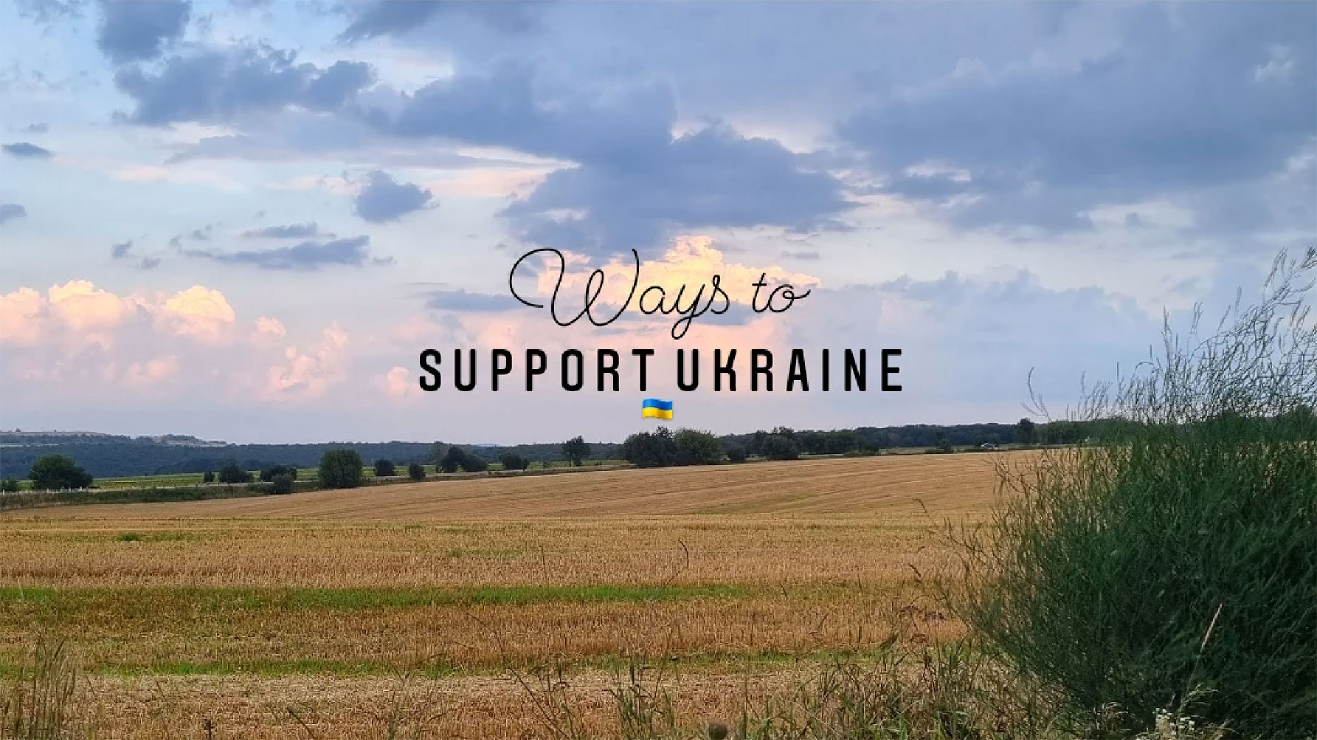 Support Ukraine