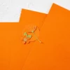 Spellbinders Tangerine Essentials Color Cardstock