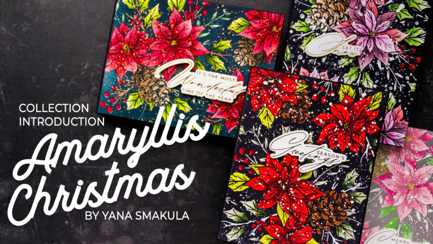 My Spellbinders Christmas 2024 Collection - Amaryllis Christmas Introduction