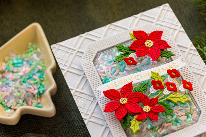 Spellbinders | Shaker Cards with Shaker Domes. Video